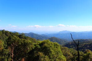 Thailand Treasure Tour Uncover the Magic of Northern Thailand Let us take you beyond the ordinary and uncover the hidden gems and timeless beauty of Northern Thailand in a way that feels personal, meaningful, and unforgettable.