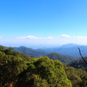 Thailand Treasure Tour Uncover the Magic of Northern Thailand Let us take you beyond the ordinary and uncover the hidden gems and timeless beauty of Northern Thailand in a way that feels personal, meaningful, and unforgettable.