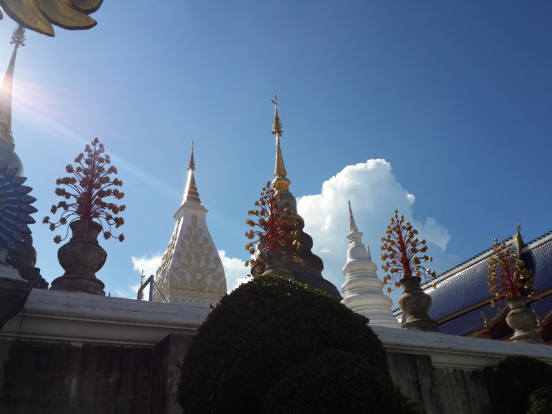 Amazing a day tour - Image 2
